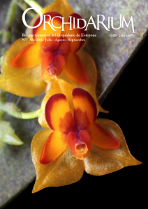 Descarga Orchidarium N7