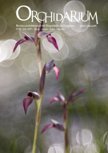 Descarga Orchidarium N10