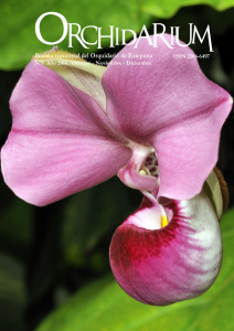 Descarga Orchidarium N8