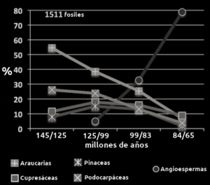Grafico aparición Angiospermas y declive de Gimnospermas